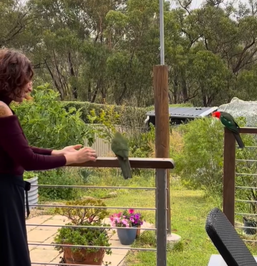 Eco Home Experience on Instagram